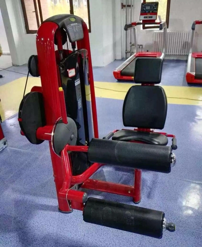 Flat Bench Free Weight with Dumbbell for Home Gym