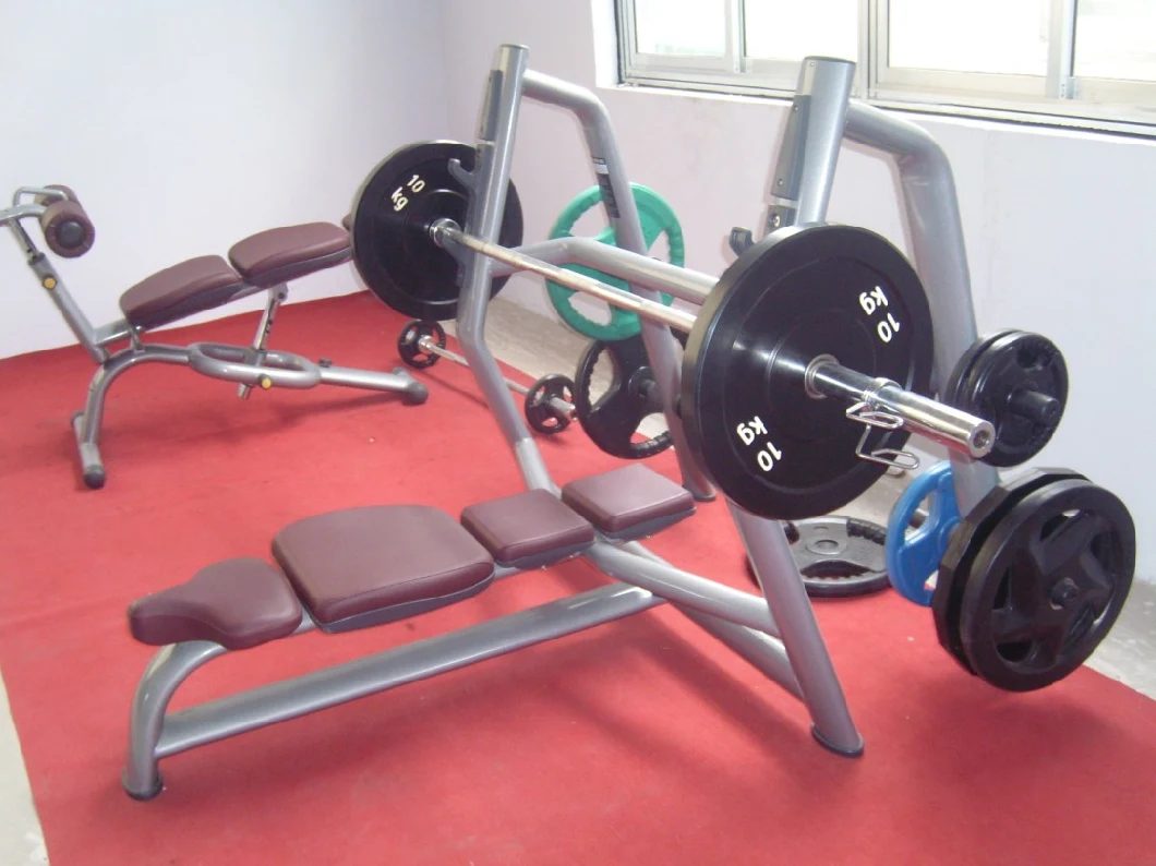 Flat Bench Free Weight with Dumbbell for Home Gym