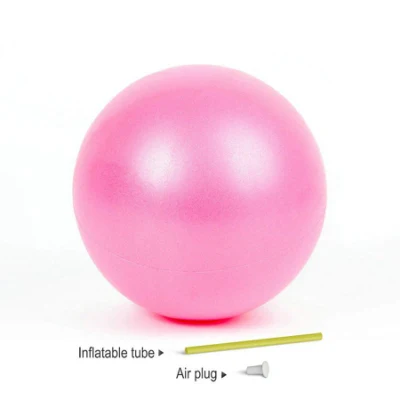 Ballon d'exercice - Petit ballon gonflable Pilates Yoga Stability Ball Fitness Equipment Wyz12853