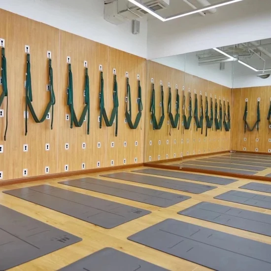 Yoga Wall System Pelvic Swing Ceintures Unité murale Pilates